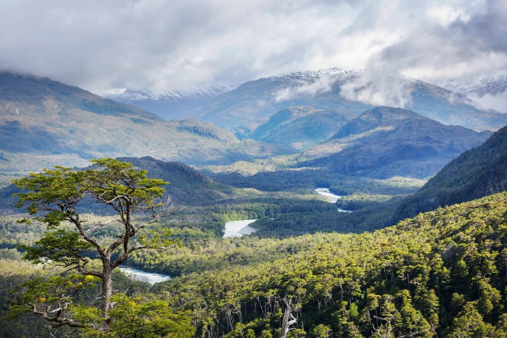 paysage nature patagonie