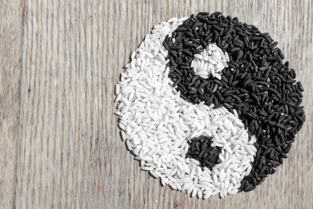 yin yang avec du riz