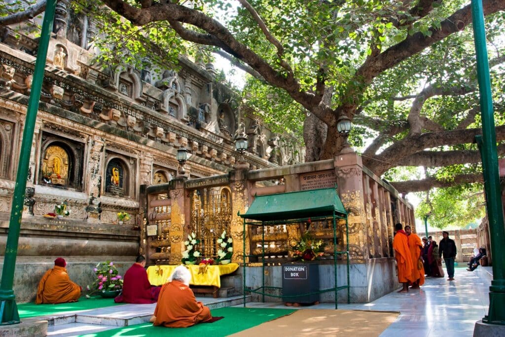 arbre de la Bodhi à Bodh Gaya