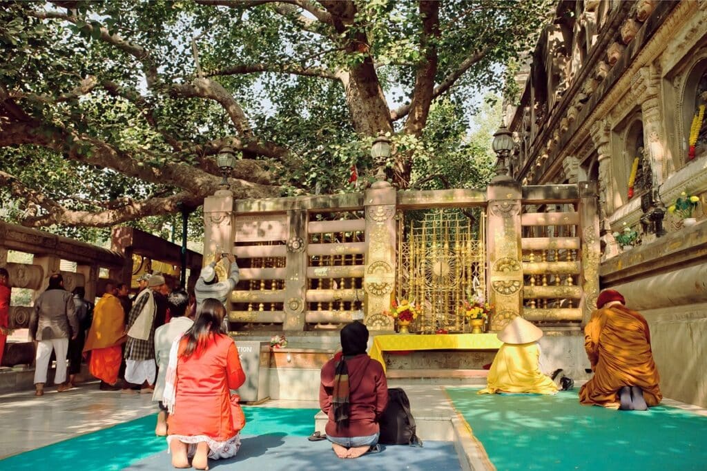 pèlerins à l'arbre de la Bodhi à Bodh Gaya